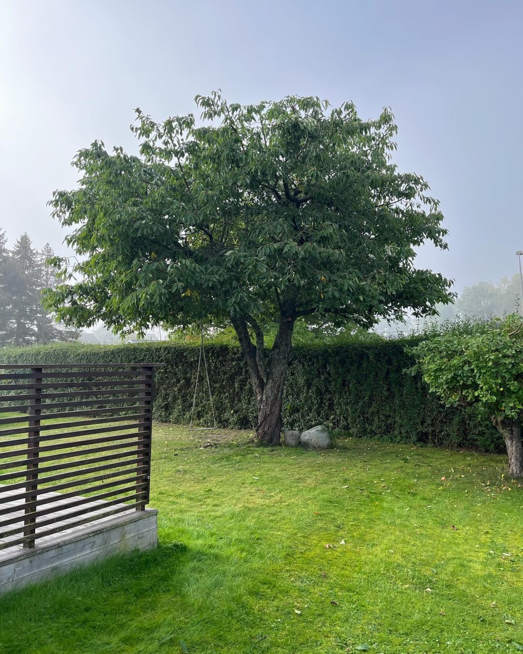 Instagram post from lindeutemiljo. This post is in position 4.